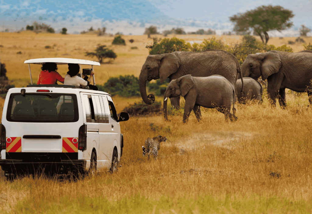 Gem-Safaris-Maasai-Mara