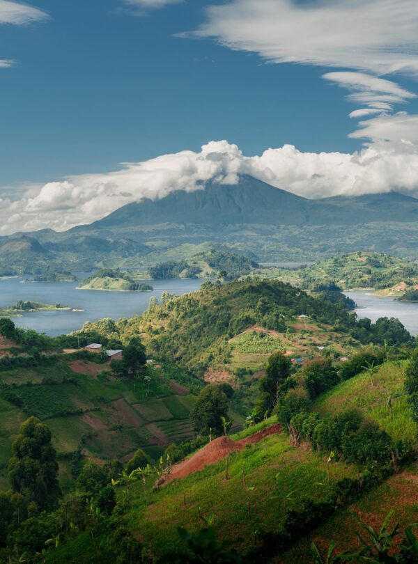 Bwindi Impenetrable National Park, Uganda