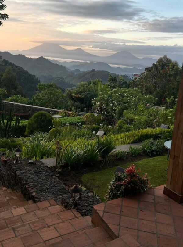 Bwindi Impenetrable National Park, Uganda