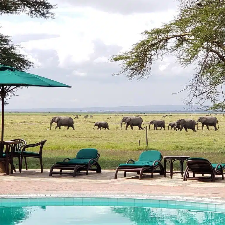 Swimming pool at Ol Tukai Lodge Amboseli with elephants walking across the savannah