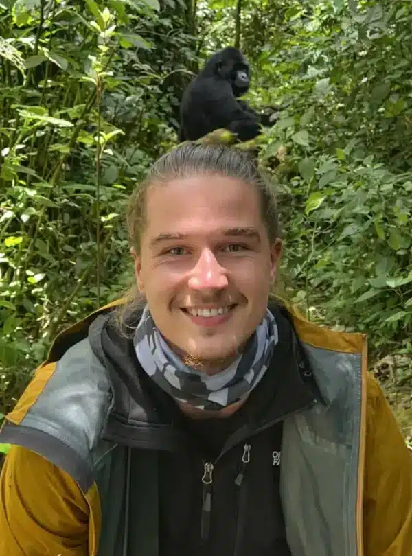 Gorilla trekking experience in Bwindi Impenetrable National Park, Uganda with mountain gorilla in forest backdrop