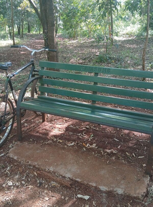 Karura Forest Hiking Biking Tour: A bike for hire