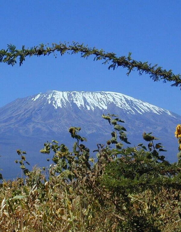 7-Day Tanzania Safari – Mount Kilimanjaro Marangu Route Trekking