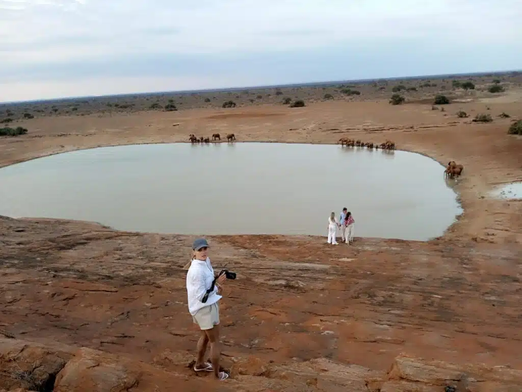 Travelers observing wildlife at a seasonal waterhole in Tsavo National Park during a classic Kenya safari experience.