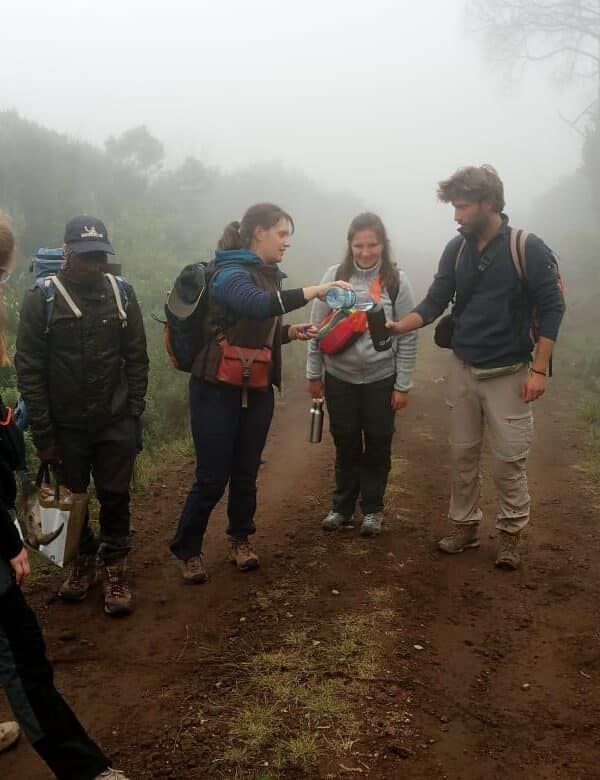 Group of hikers with guide on a forest trail in misty conditions