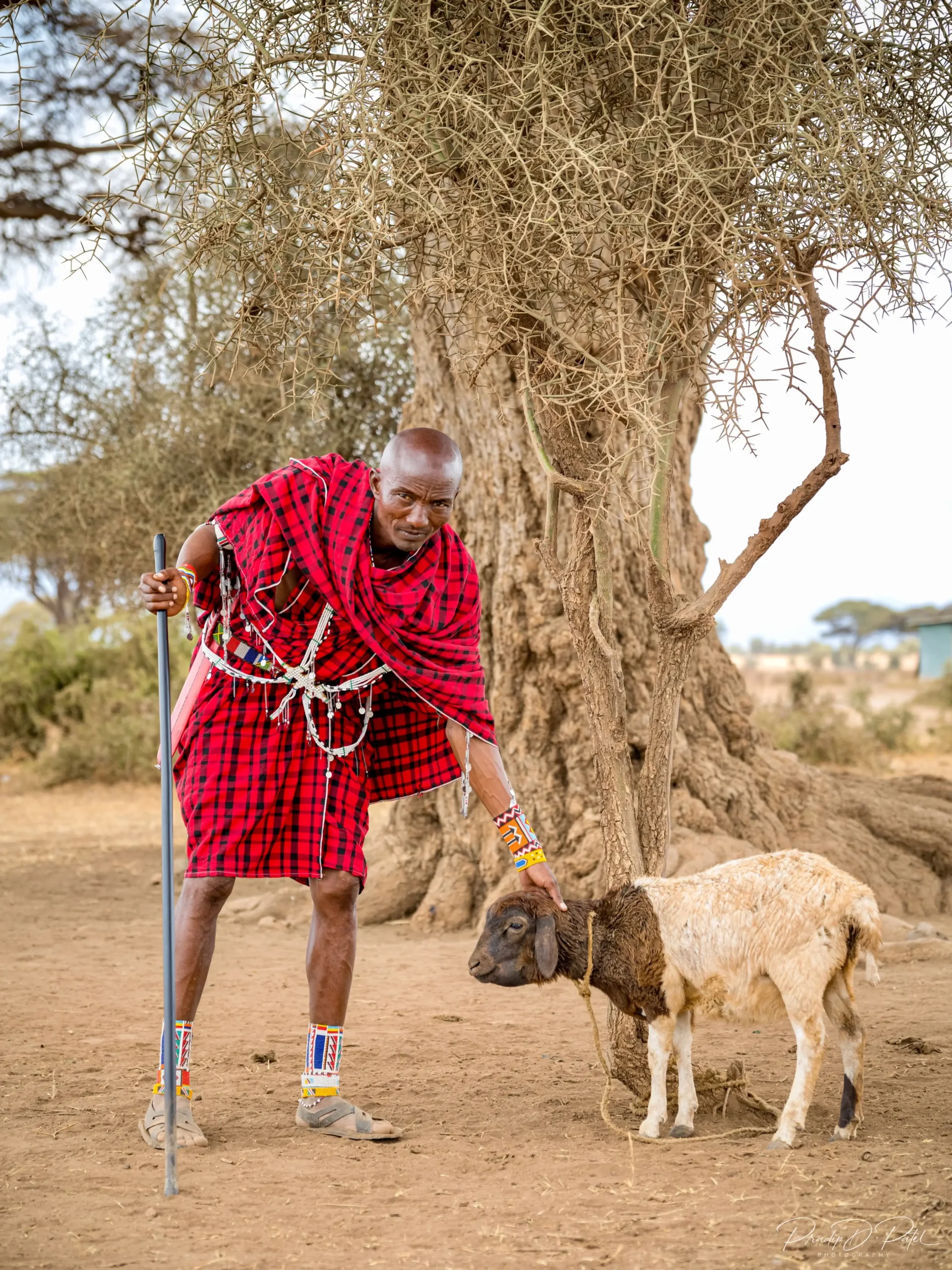 Maasai guide during a cultural village visit near Amboseli National Park