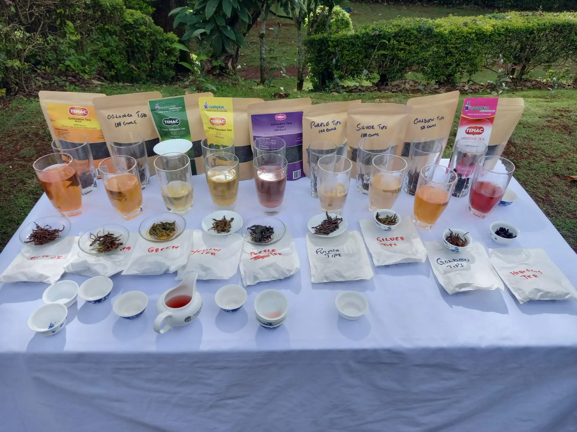 Tea tasting selection at Gatura Greens including purple tea and other Kenyan teas