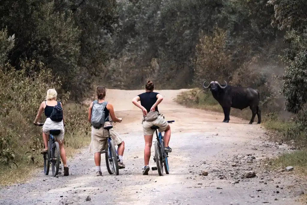 Cycling safari in Hell’s Gate National Park during a Lake Naivasha day tour