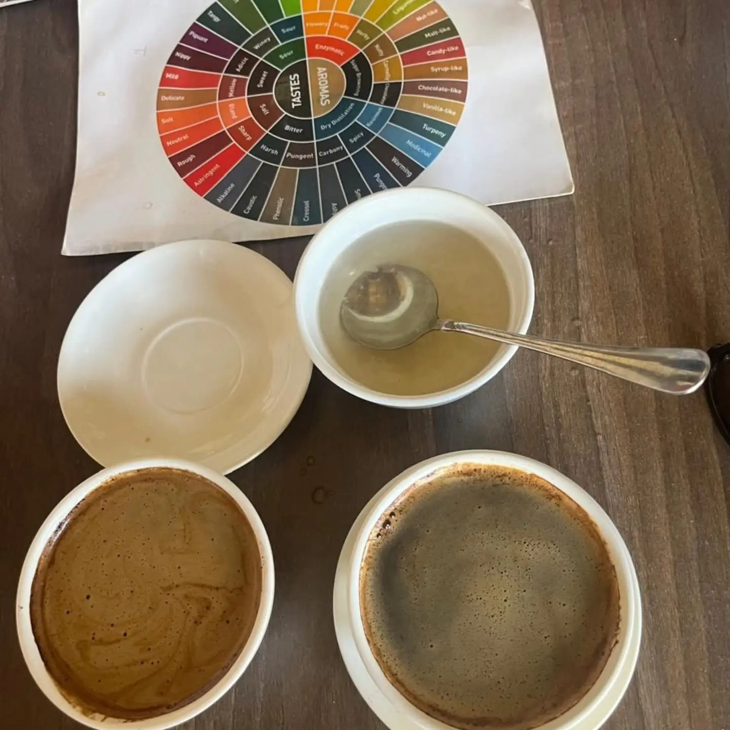 Coffee cupping and flavour tasting at Karunguru Coffee Estate near Nairobi