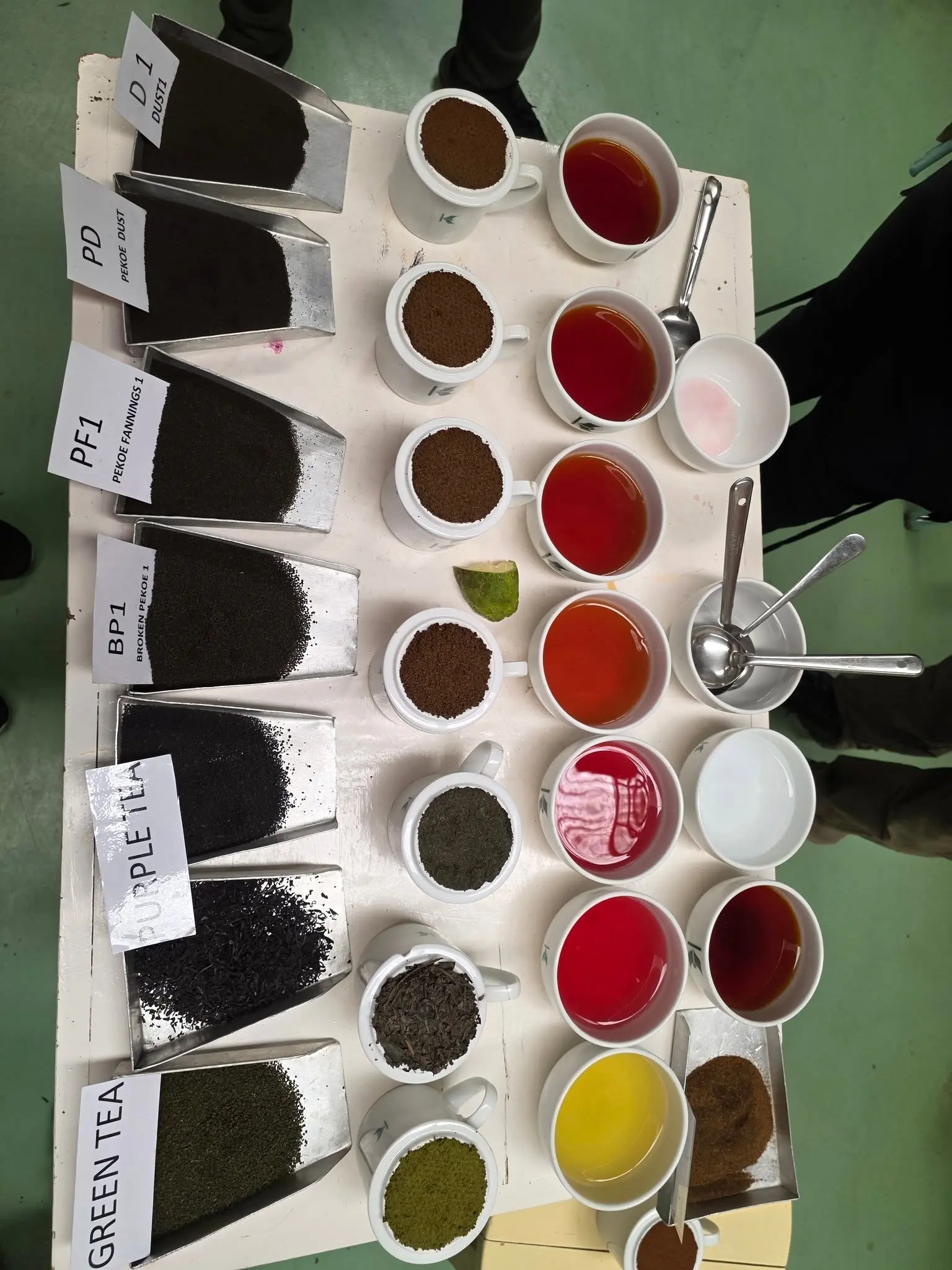 Tea tasting selection during an estate experience near Nairobi