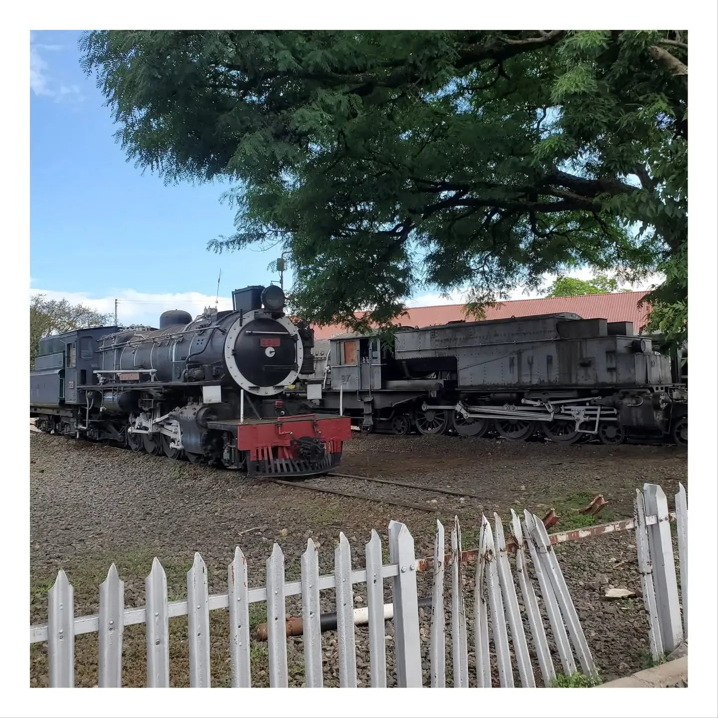 Historic steam locomotives at the Kenya Railways Museum in Nairobi