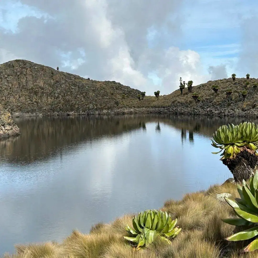 Alpine tarn and giant groundsels on Mount Kenya