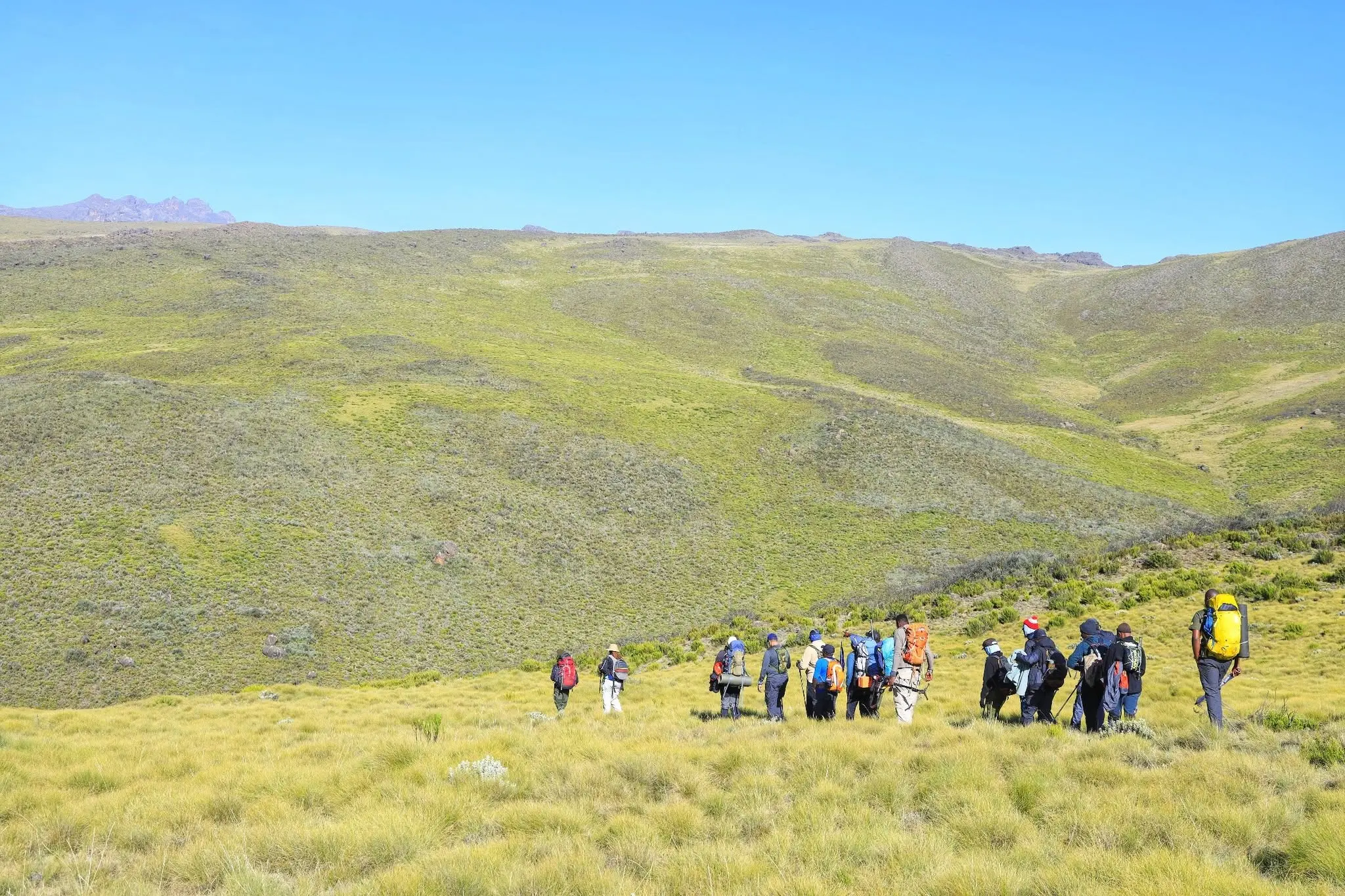 Guided hiking group crossing Mount Kenya moorland