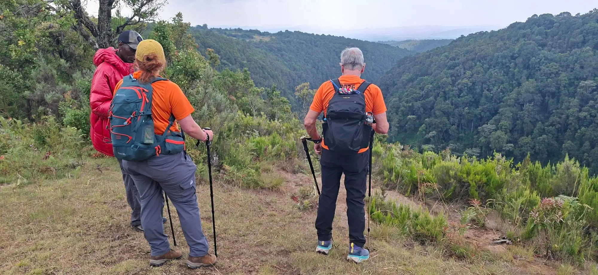 Hikers with a guide on a Mount Kenya trekking trail