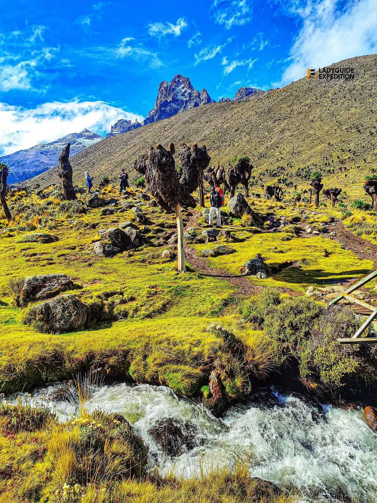 Hikers crossing high-altitude terrain on Mount Kenya