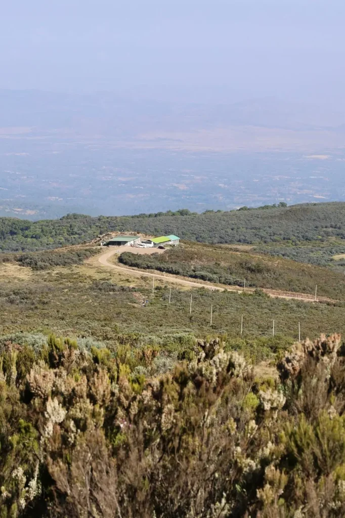 Judmaier Old Moses Camp on the Mount Kenya Sirimon Route