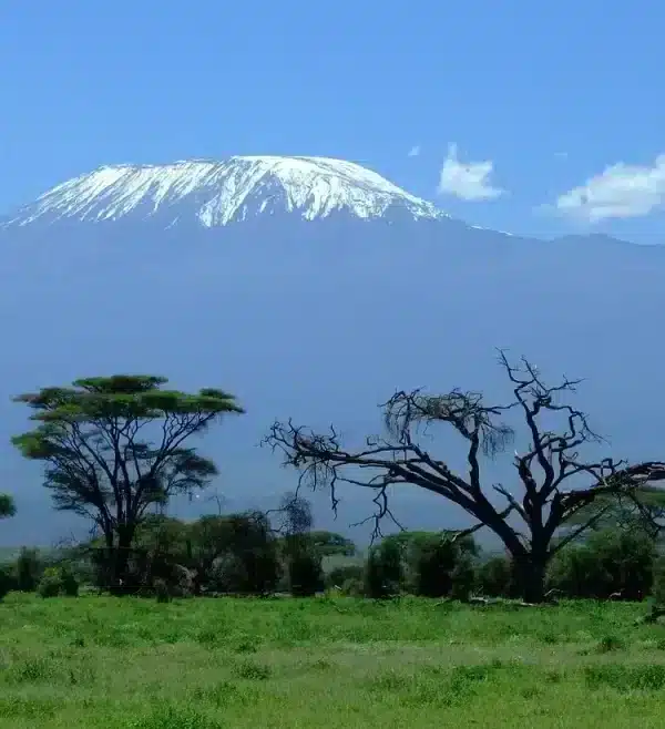Mount Kilimanjaro viewed from Amboseli National Park on an Amboseli day trip from Nairobi