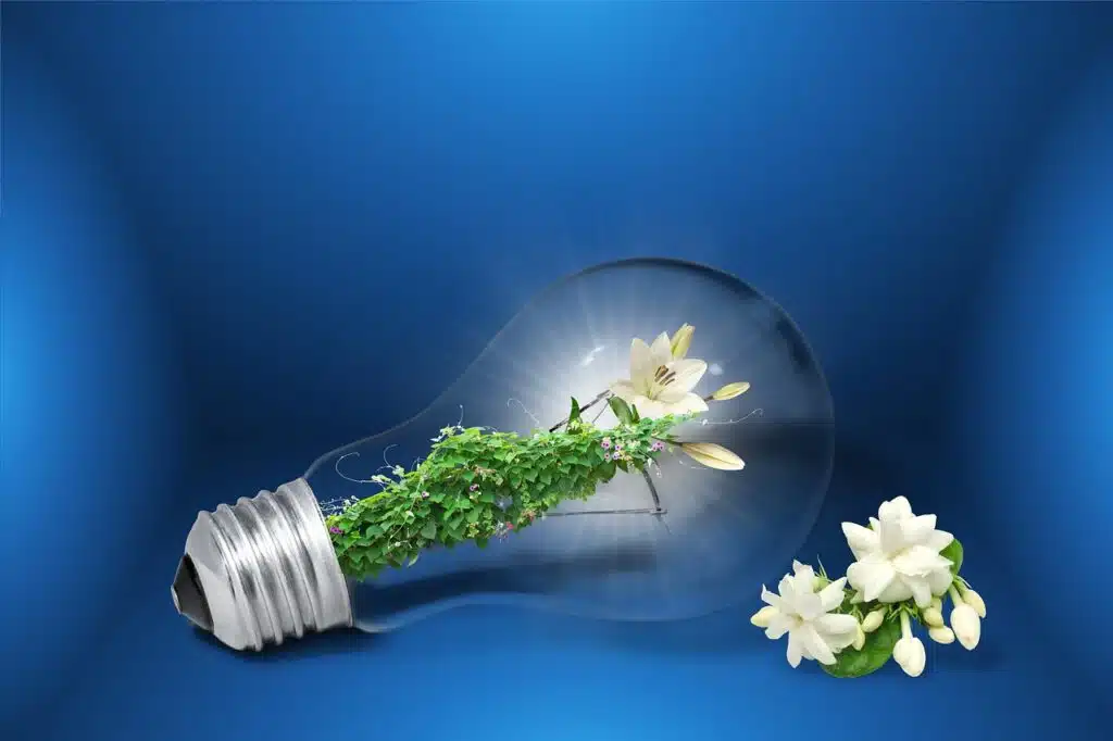 Green plant blooming inside a glass light bulb, representing eco-conscious travel and energy conservation