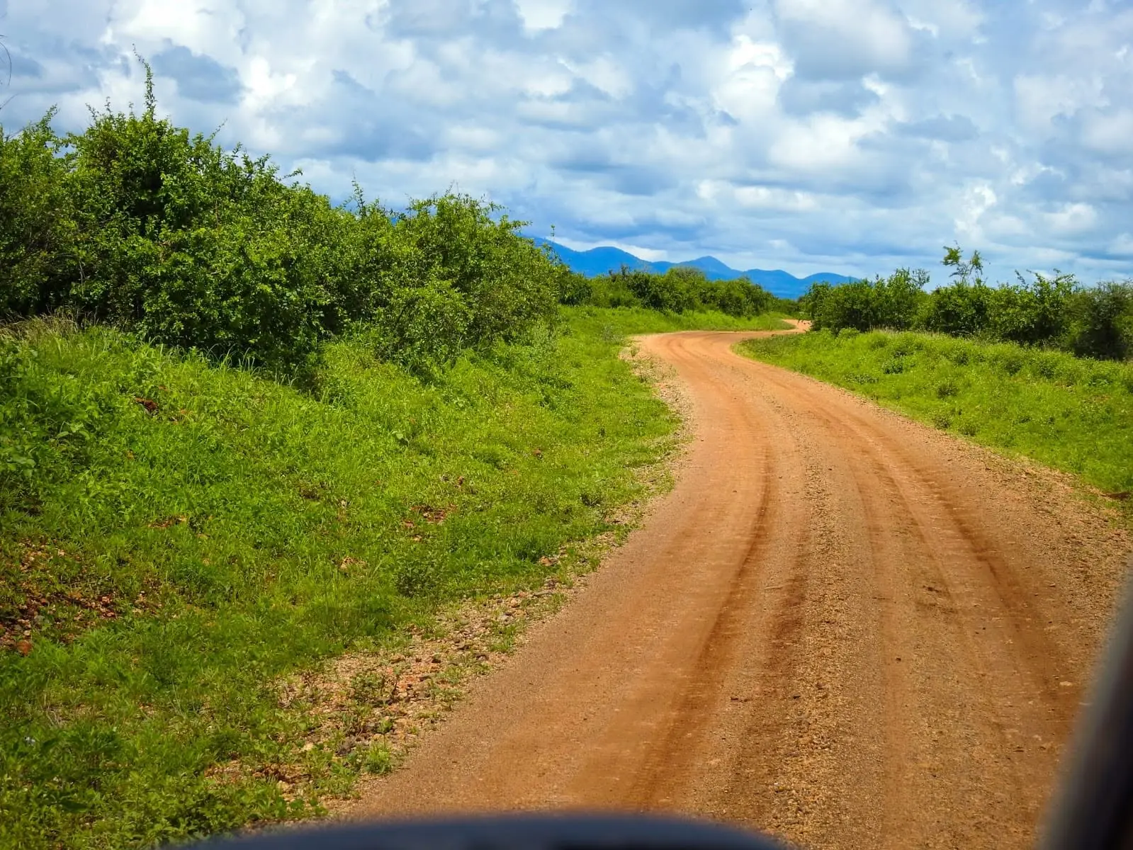 Scenic game-drive road through Meru National Park