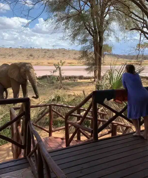 Guest watching elephant from the deck at Elephant Bedroom Camp, Samburu National Reserve