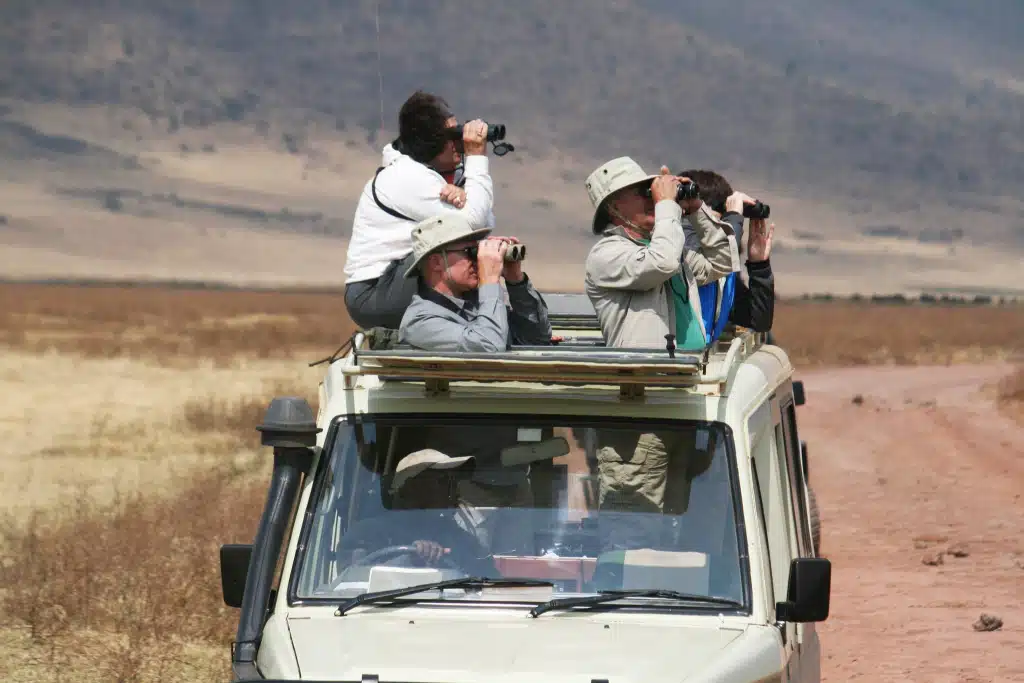 Birdwatchers using binoculars from a safari van during a birding tour in Kenya