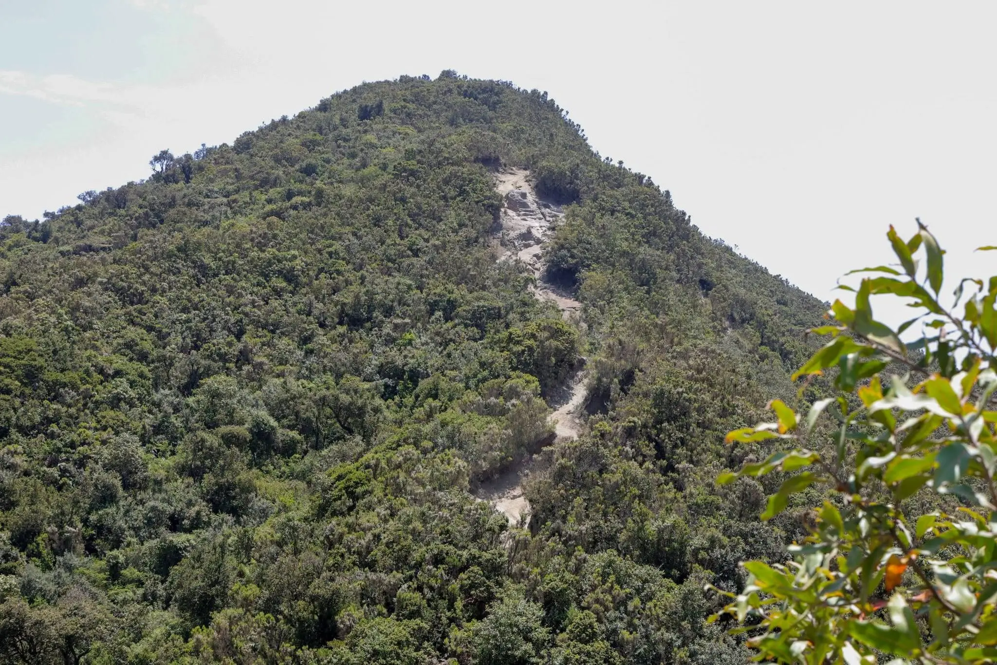 Steep trail leading up the Mount Longonot crater rim