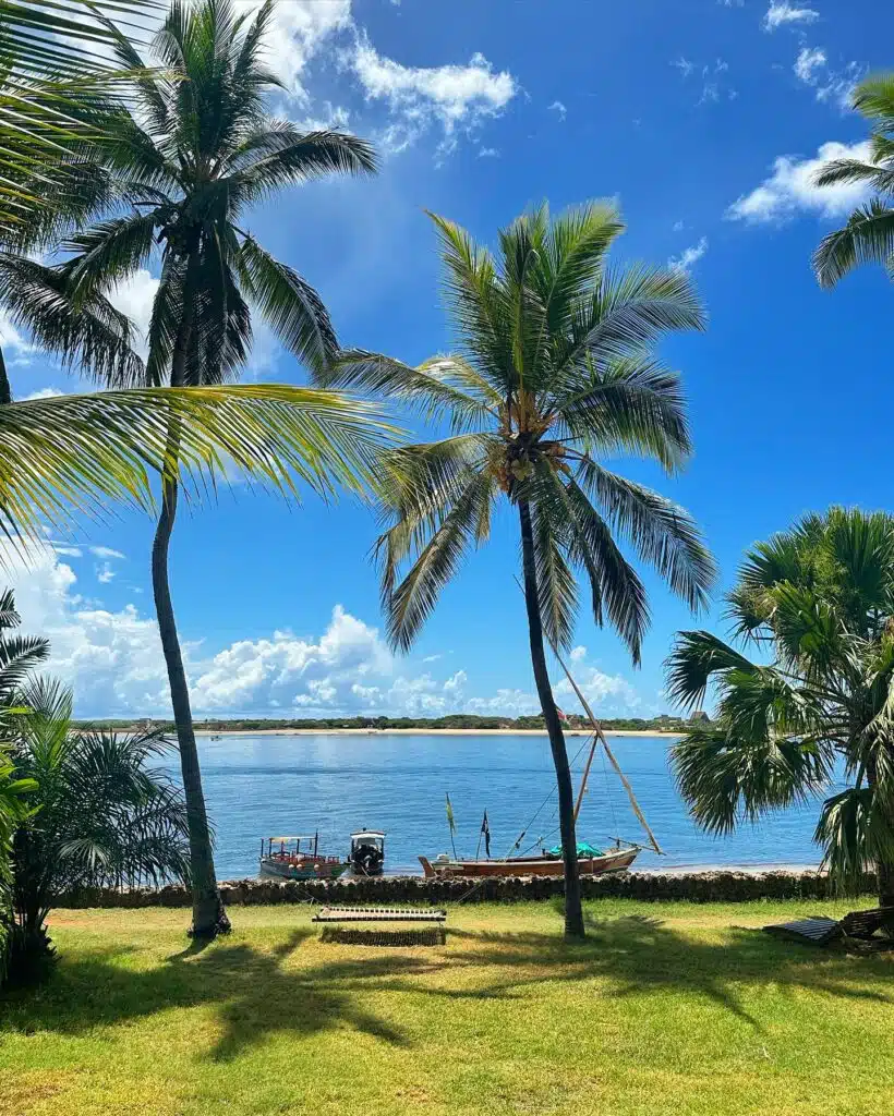 Scenic view of palm trees along the coast of Lamu, with a clear blue sky and calm waters.