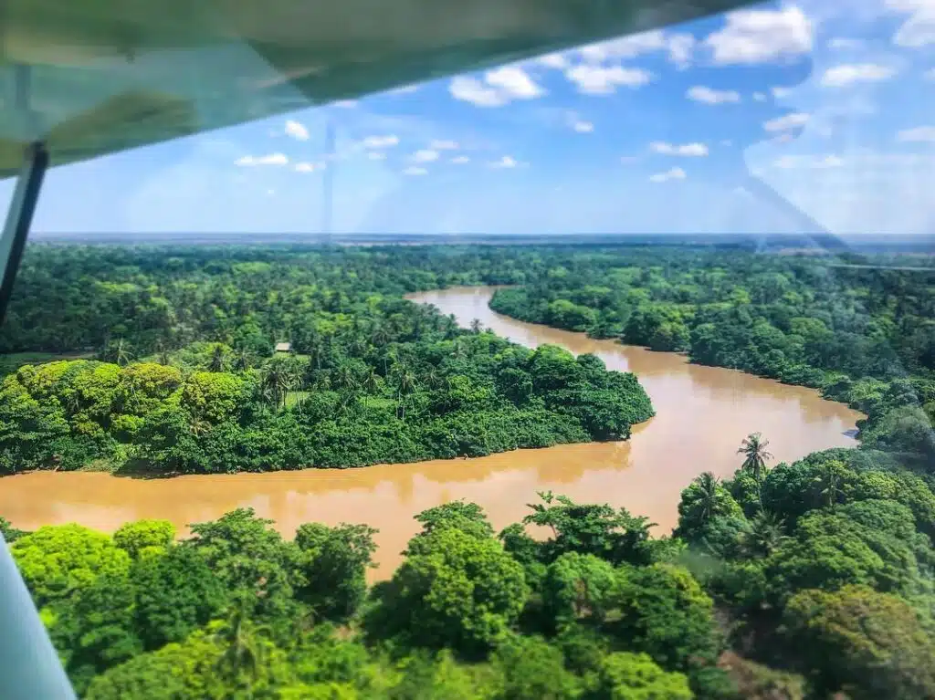 Tana River Delta seen from above, with the river flowing through dense forests and rich green vegetation