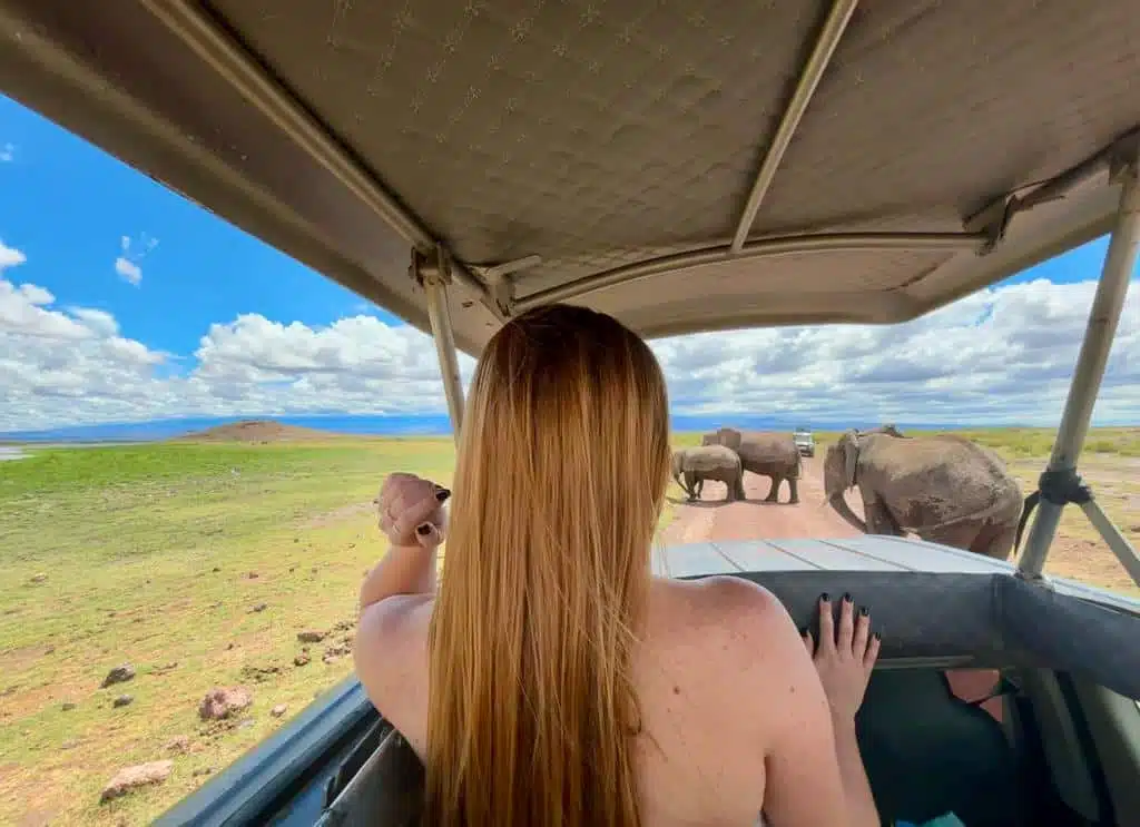 Guest enjoying a private safari experience on a game drive during one of our safaris from Nairobi, with elephants crossing the plains of Kenya