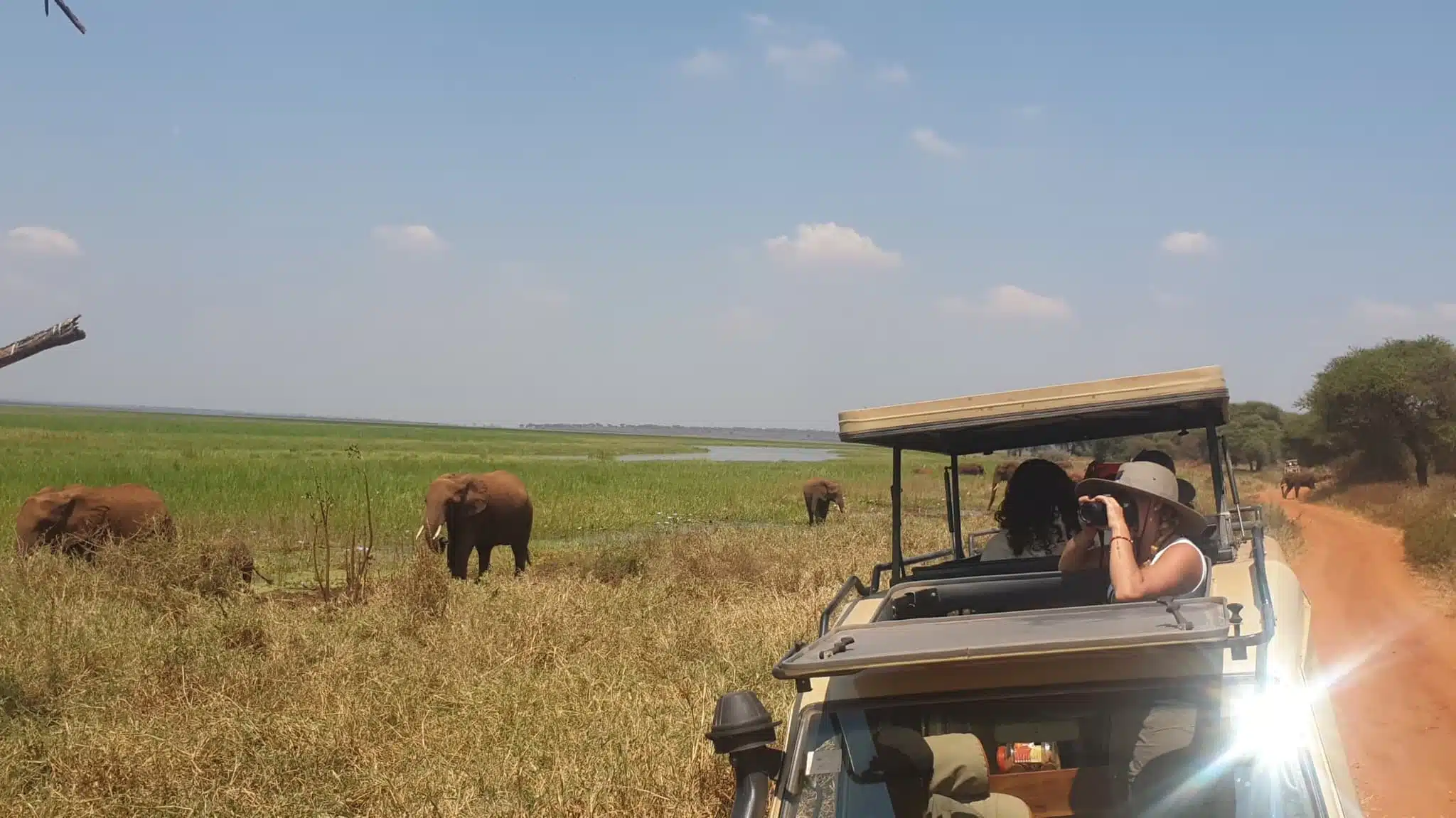 Conservation in the news: Traveler observing wildlife through binoculars in the Serengeti