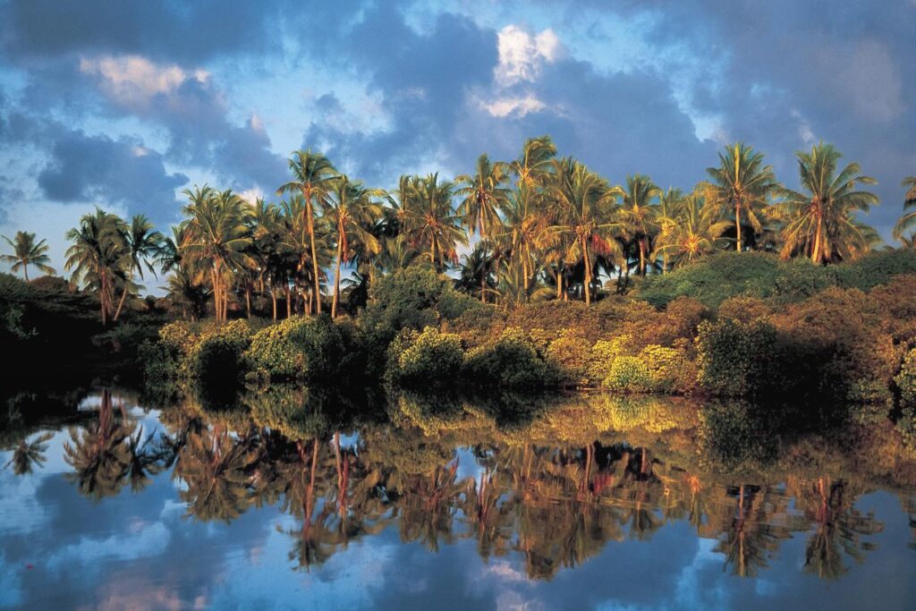 Paradise: Pate Island in the Indian Ocean