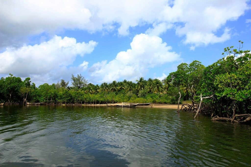 Funzi Island, south of Mombasa, Kenya