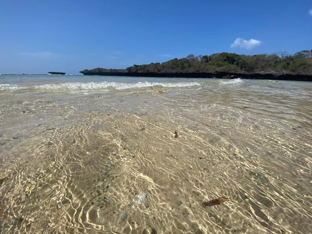 Paradise: Wasini Island, in the South Coast of Kenya, near the border with Tanzania