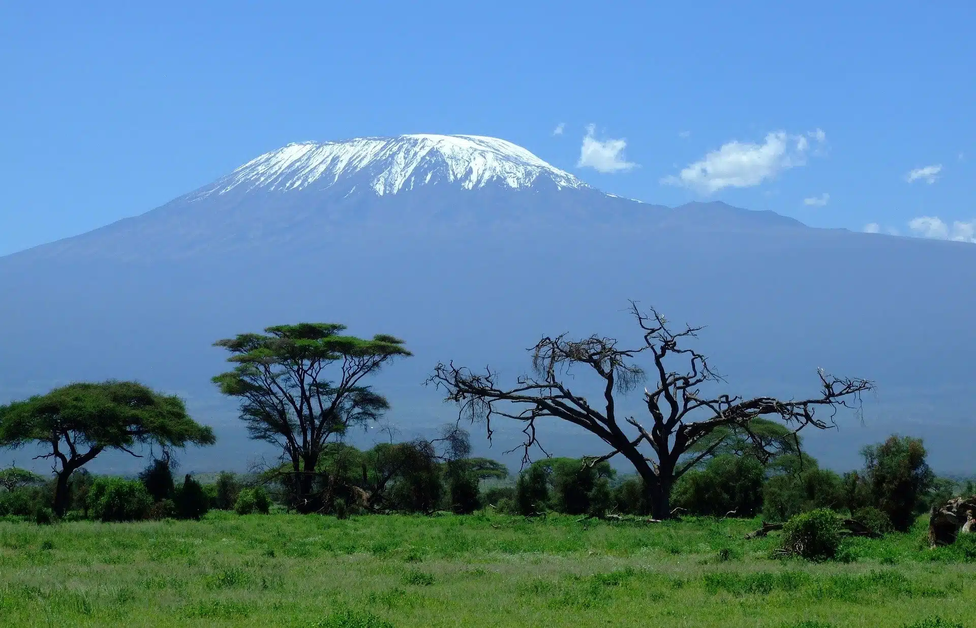 Top 5 Fascinating Things to Know About Amboseli National Park