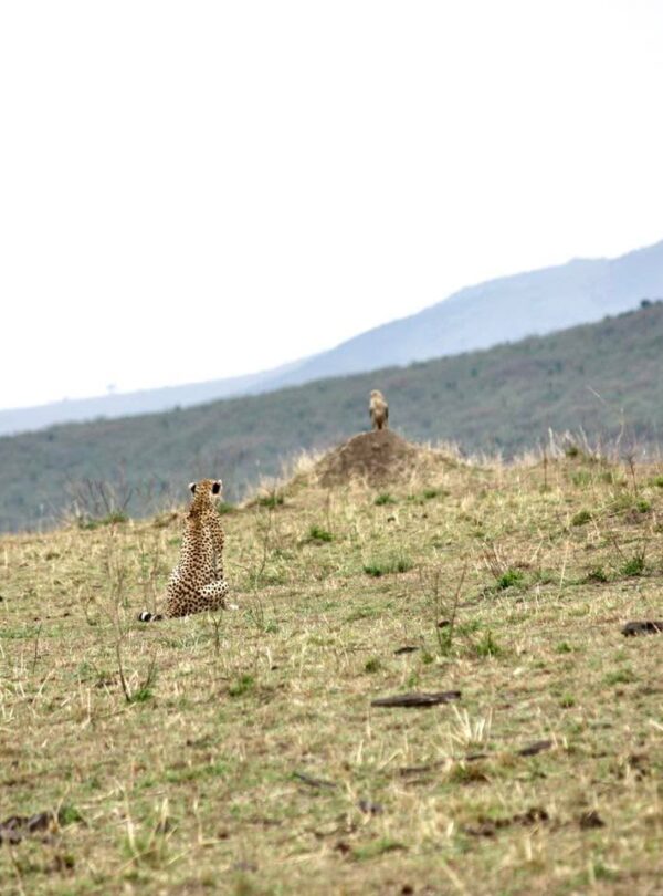 Taita Hills Wildlife Sanctuary