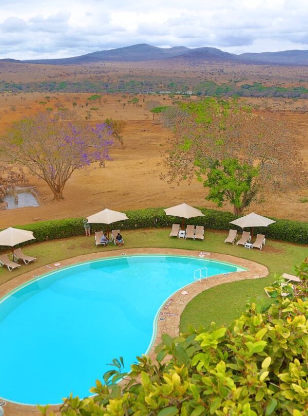 2 Day Salt Lick Safari Lodge Tour: Swimming Pool at the Lodge