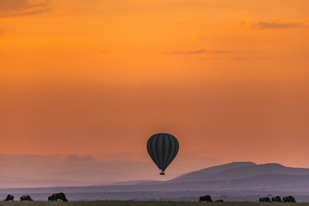 Honeymoon Safaris