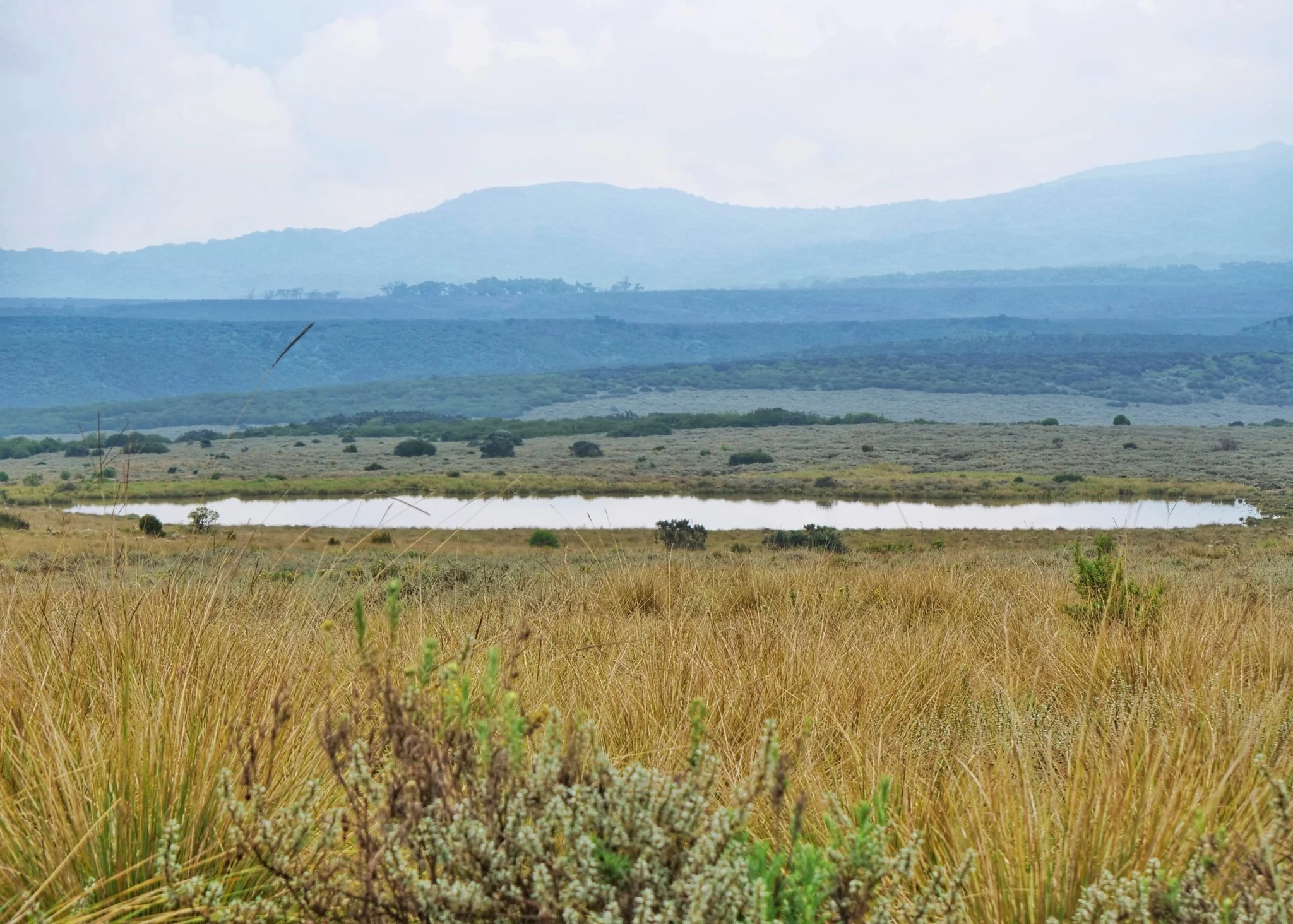 aberdare-national-park-Kenya