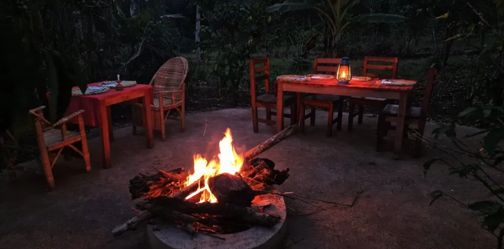 Kibale National Park Uganda