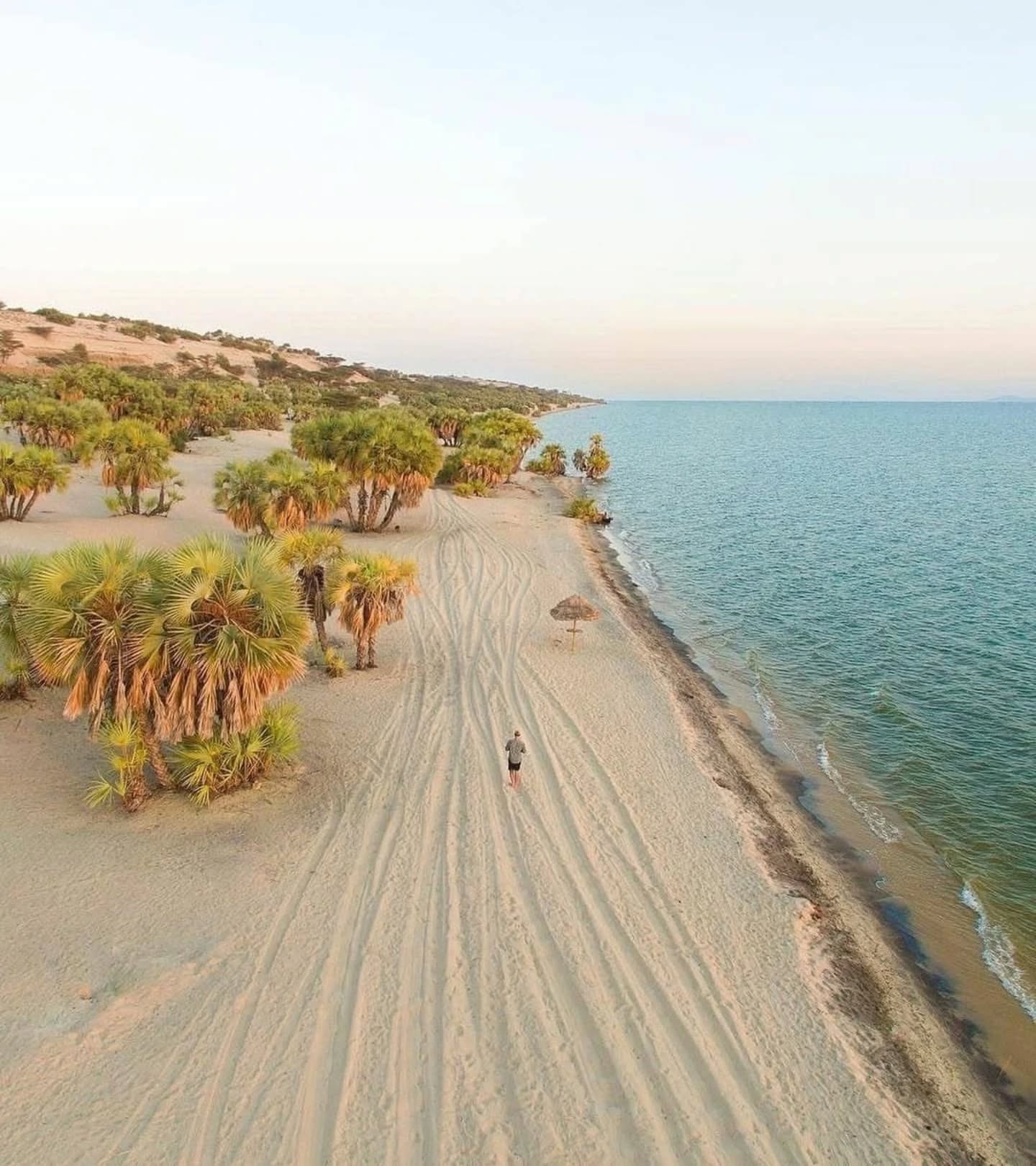 Lake Turkana: The Ultimate Guide to the ‘Jade Sea’