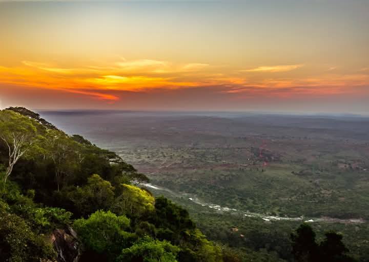 5 Important Things to Know About Shimba Hills National Reserve