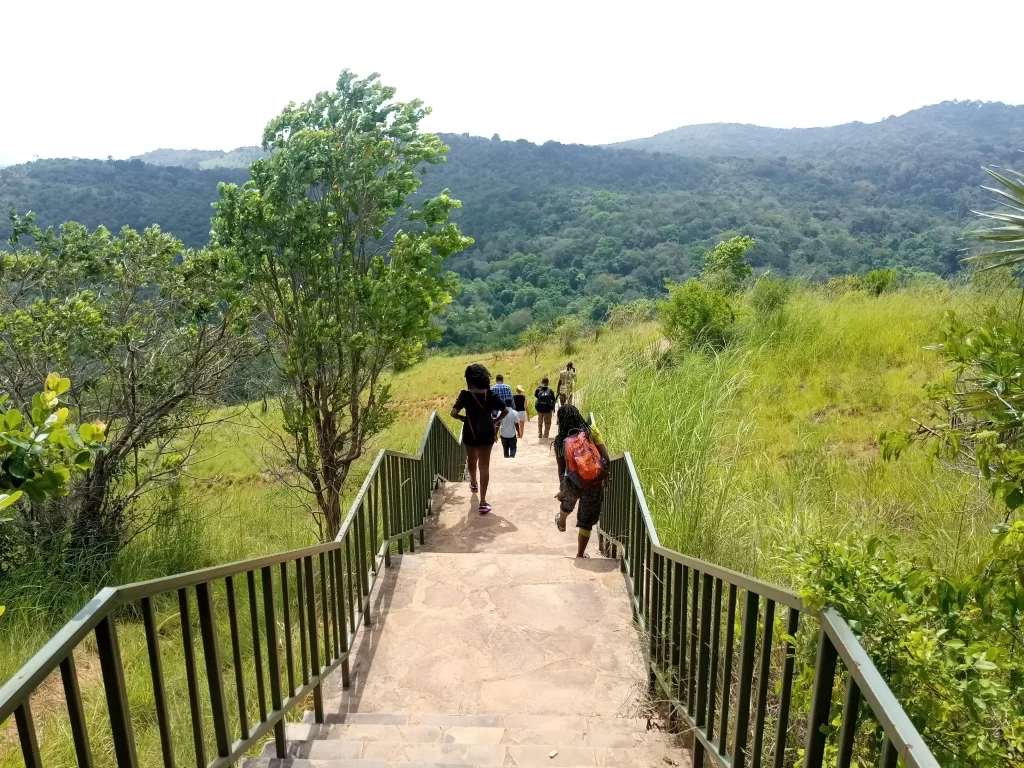 Nature walk at Shimba Hills National Reserve