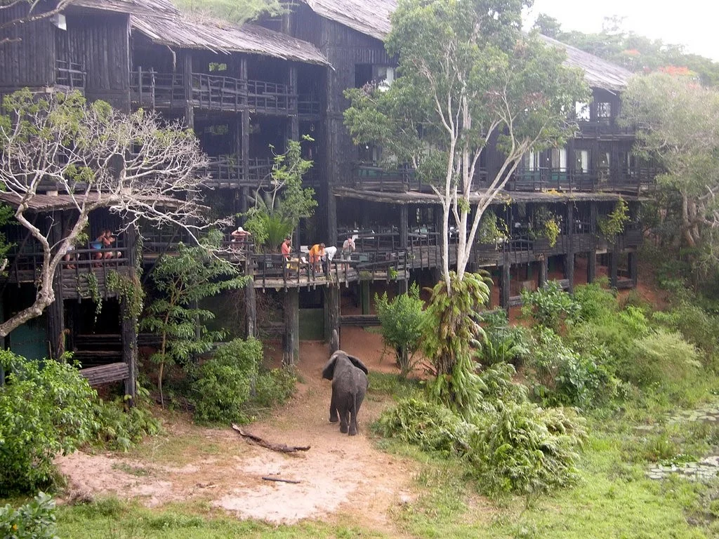 Accommodation options, Shimba Hills National Reserve