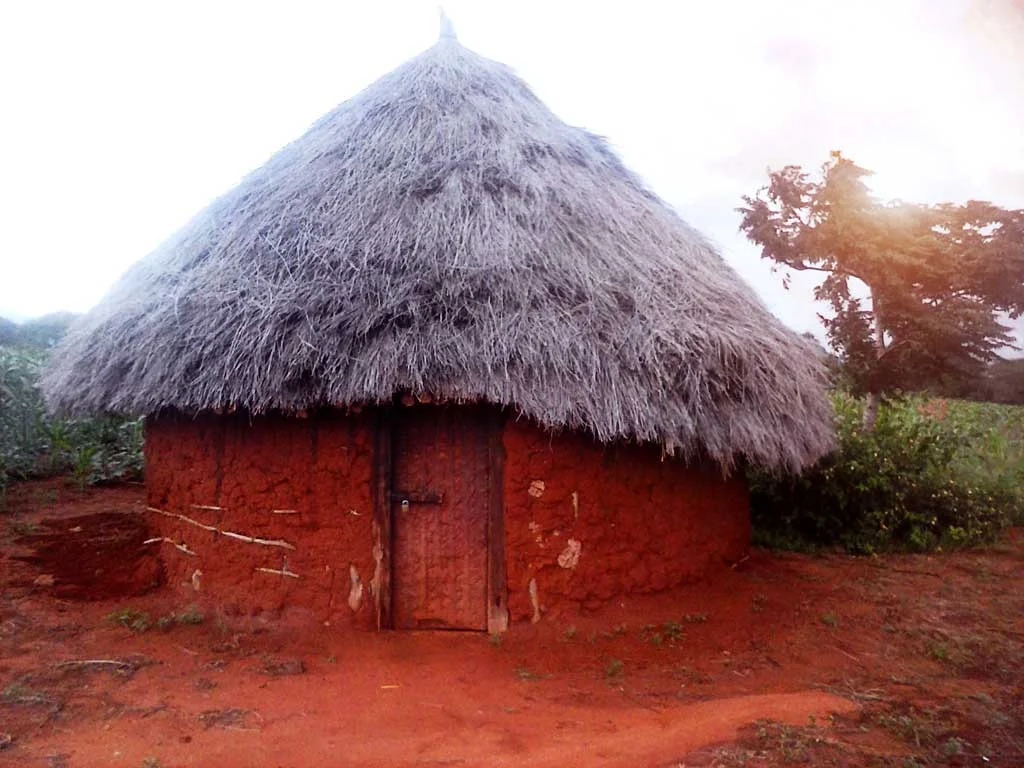 A Taita Vernacular House:   
