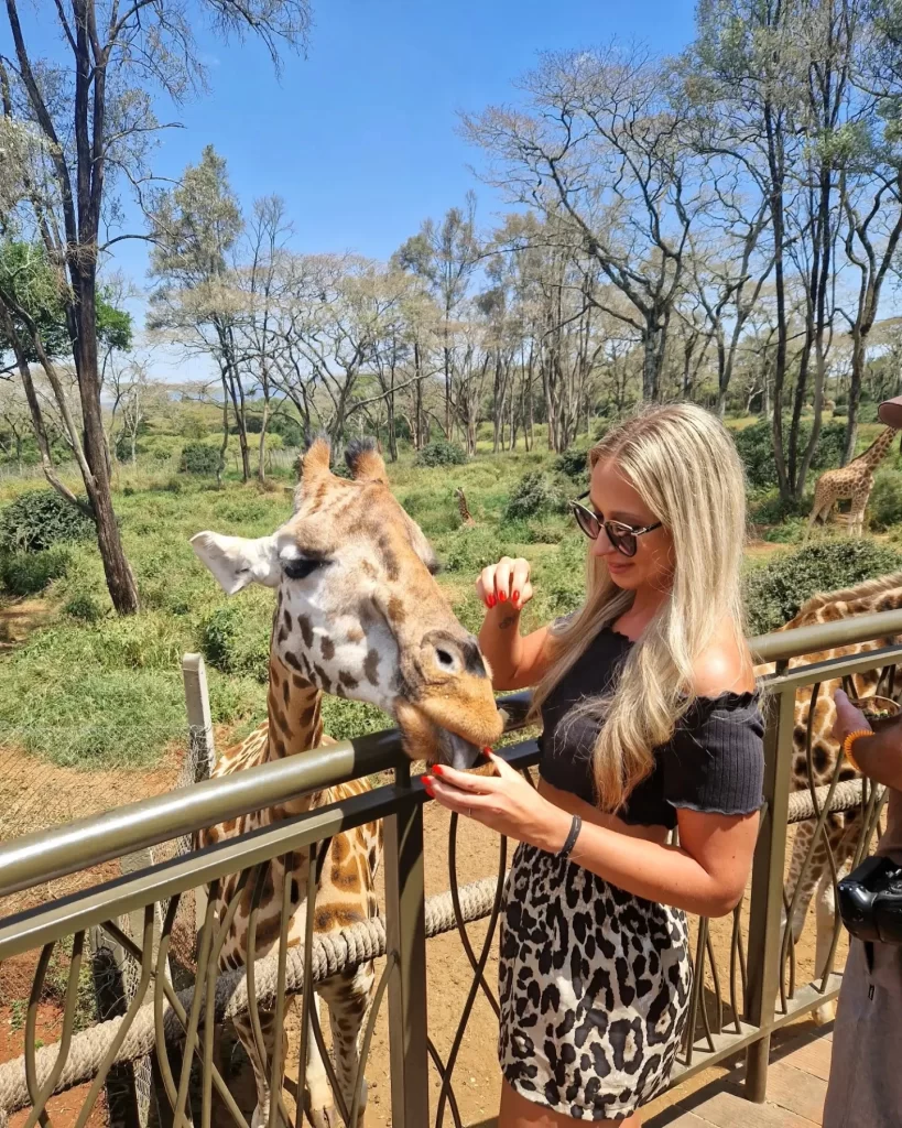 things-to-see-in-kenya-giraffe-centre-nairobi