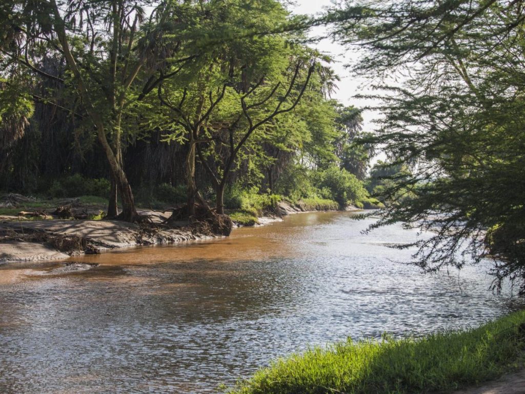 Tsavo National Park