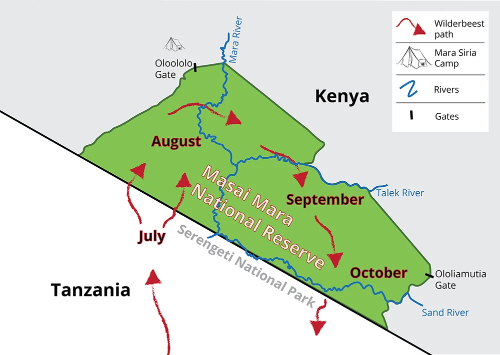 things-to-see-and-do-in-kenya-wildebeest-migration-map