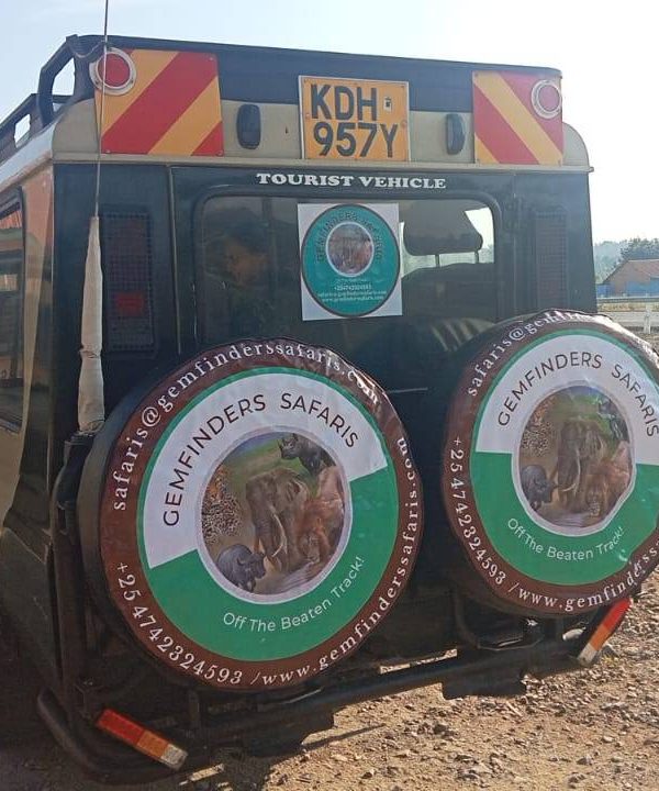 Gemfinders-safaris-landcruiser