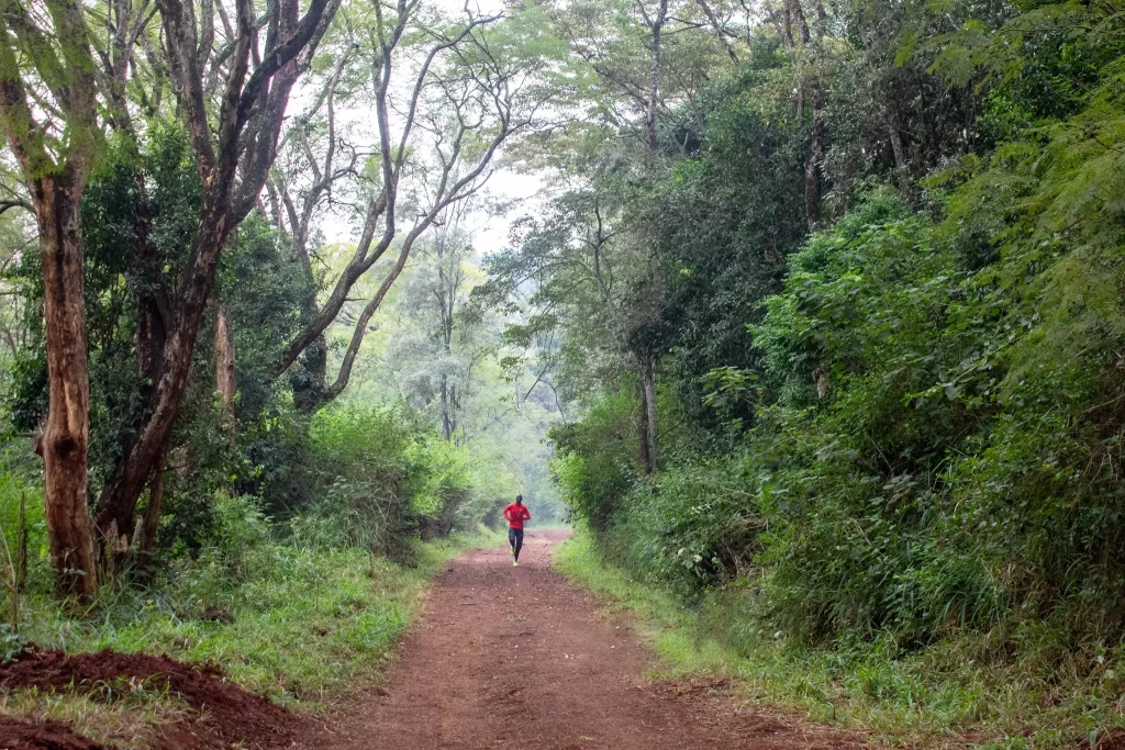 a-jogging-track-in-karura-forest