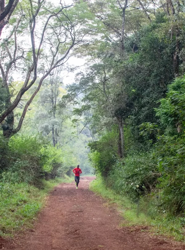 a-jogging-track-in-karura-forest
